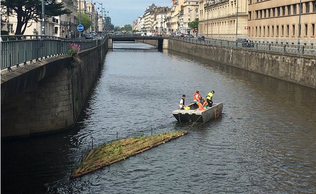 Installation sur la Vilaine des jardins flottants à Rennes.