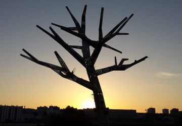 L'Arbre Empathique à Brest