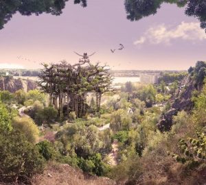 Arbre Aux Hérons Nantes